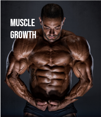 Where Can I Purchase Peptides in Australia?